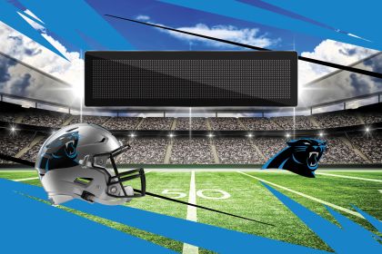 [Personalization Only] Official NFL Panthers - 20" x 32" Personalized Washable Rug